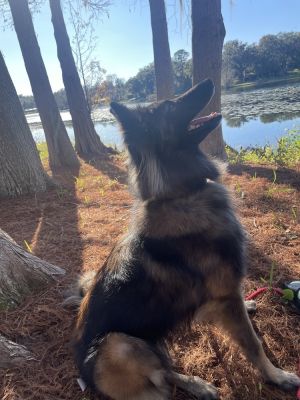 Hope - Located in FL