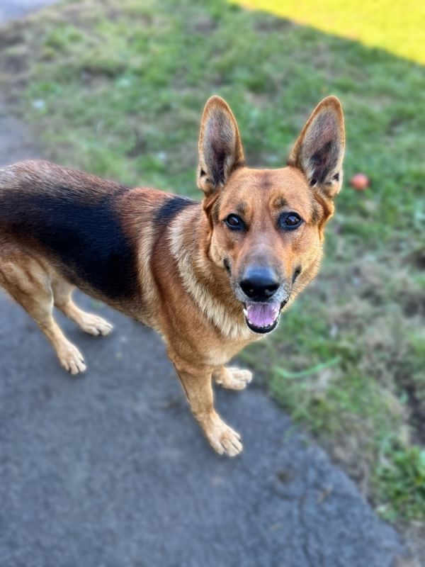 Duke
