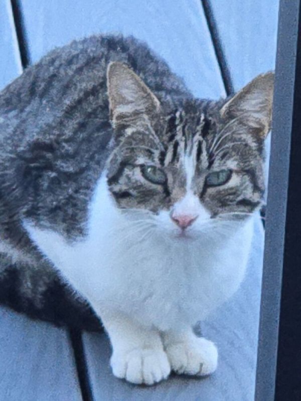 Phillip Plainview photo 1