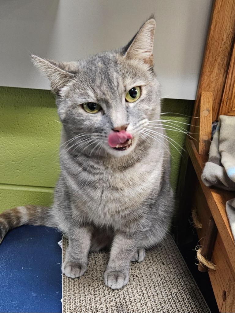 Sidney (Maple Swamp)