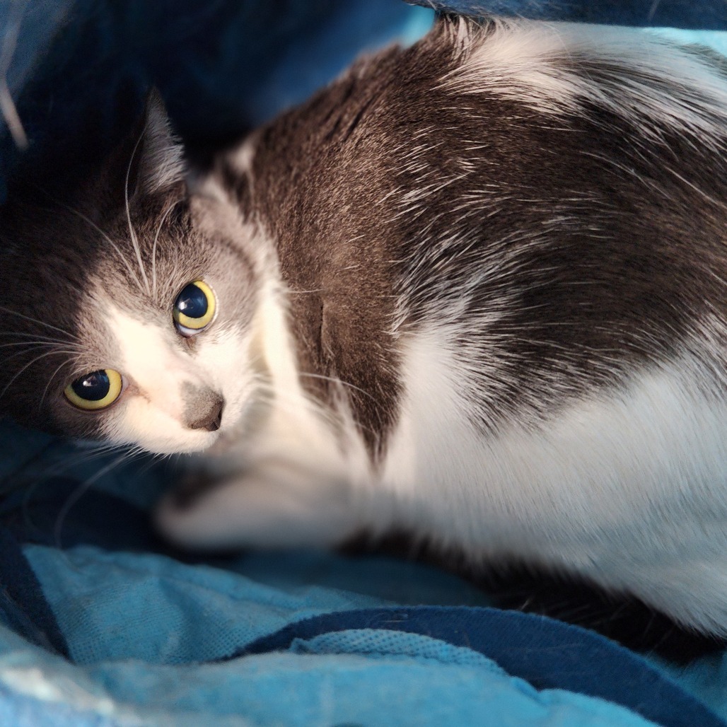 Spooky Scary Skeleton