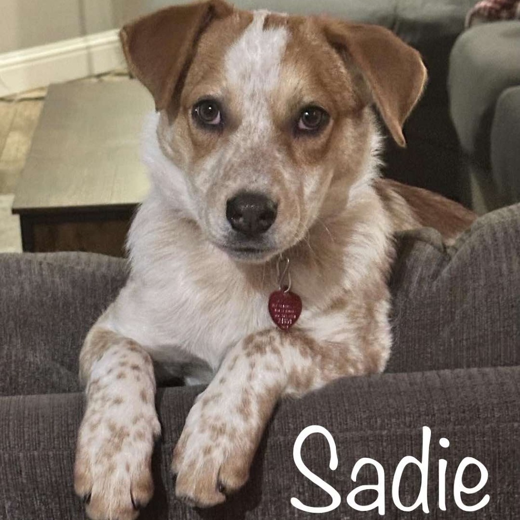 Sadie