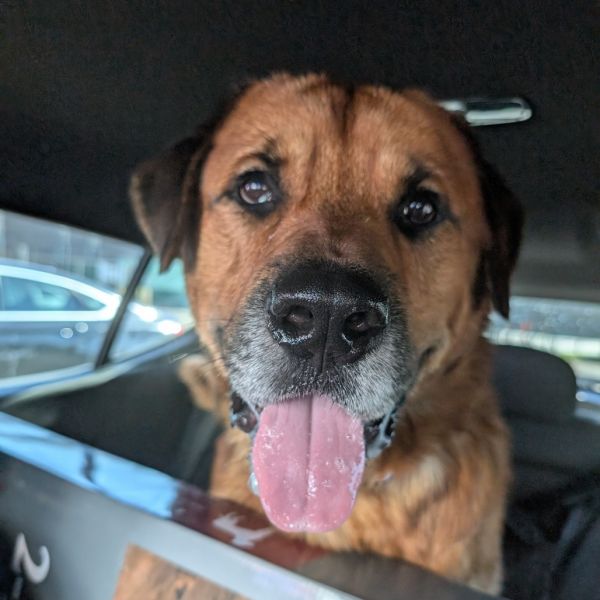 Clipper  Fee Sponsored thumbnail 2