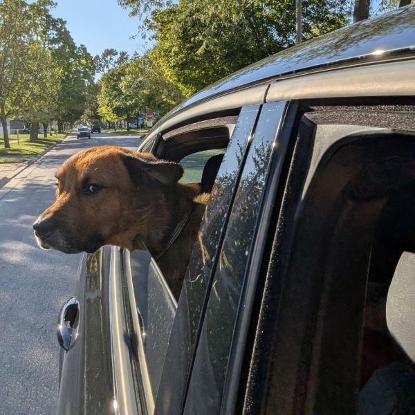 Clipper  Fee Sponsored thumbnail 3