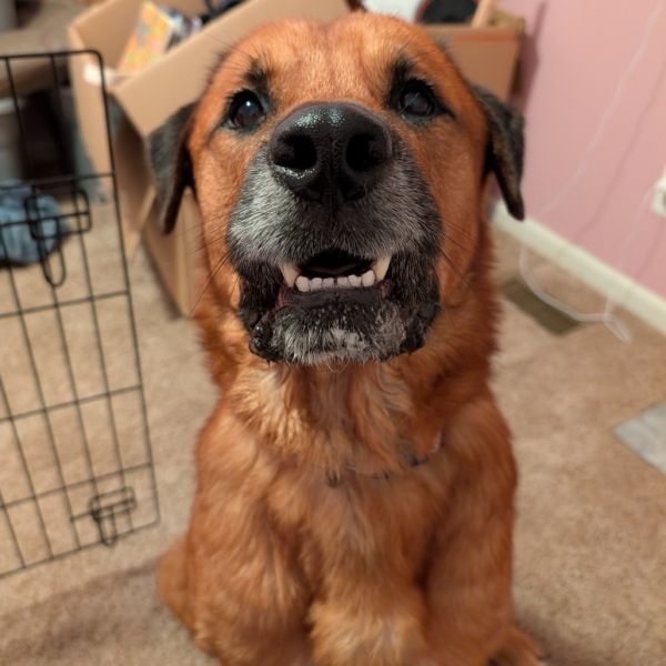 Clipper  Fee Sponsored thumbnail 4