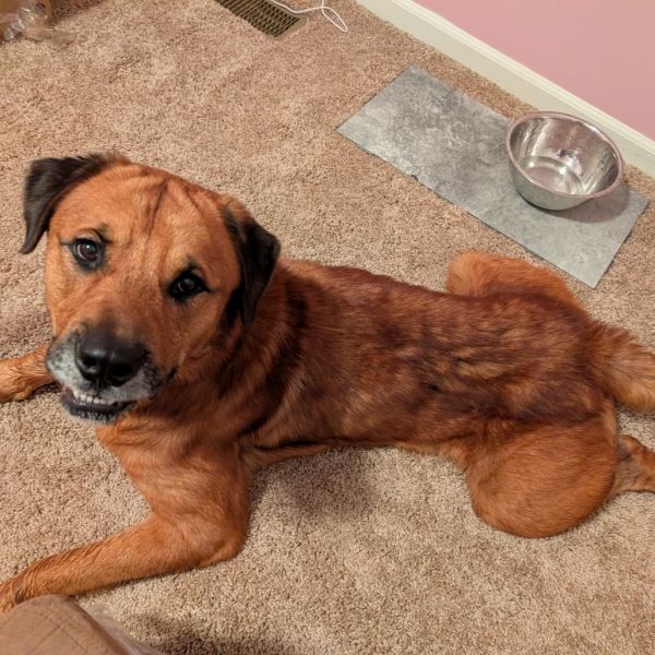 Clipper  Fee Sponsored thumbnail 5