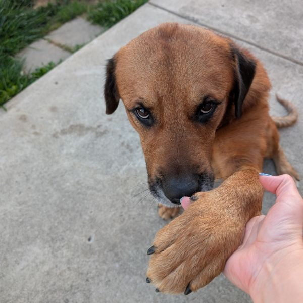 Clipper  Fee Sponsored thumbnail 6