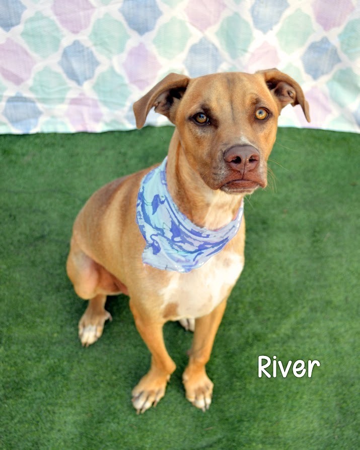 River