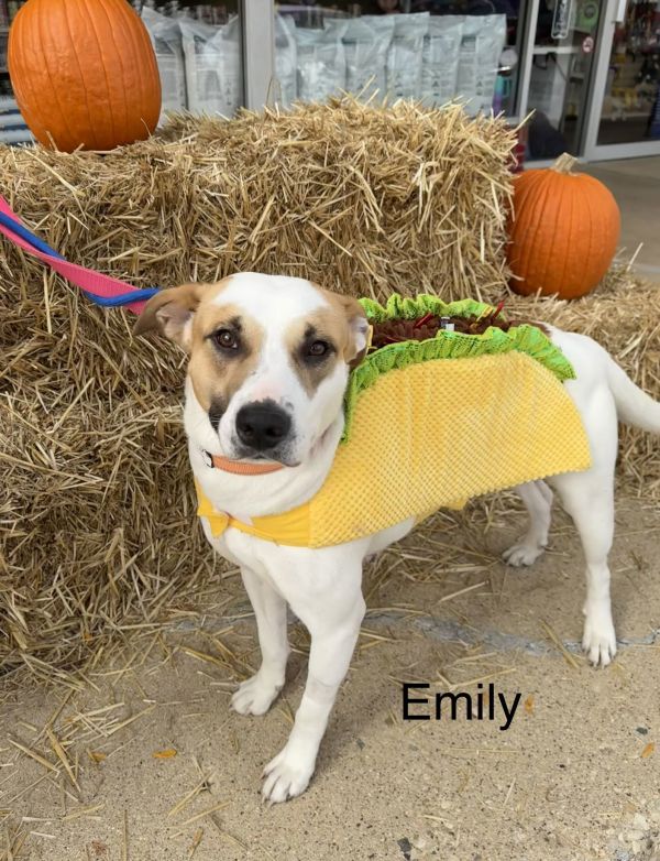 Emily