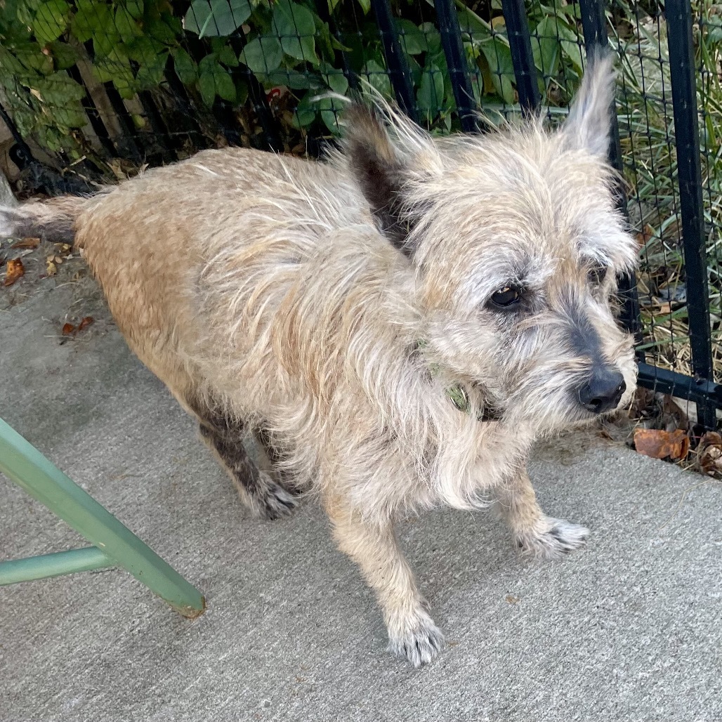 Princess very sweet!