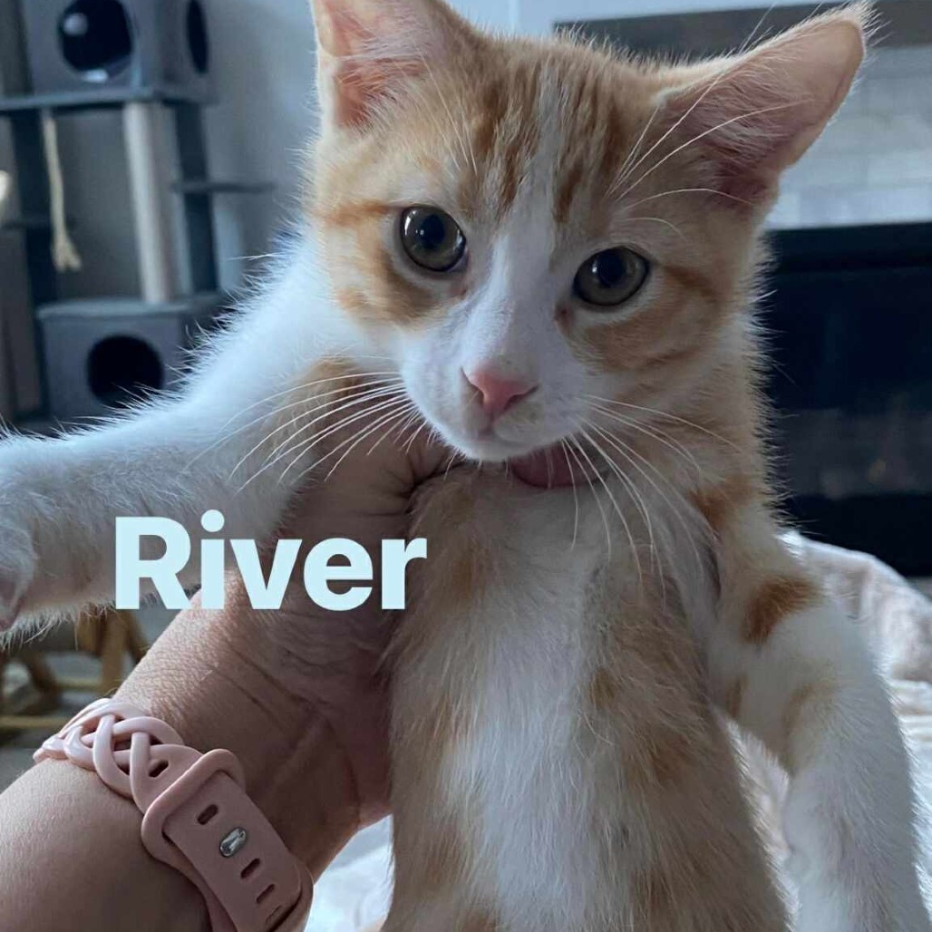 River Silverman