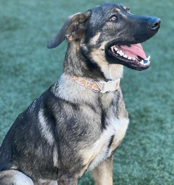 Francine thumbnail 2