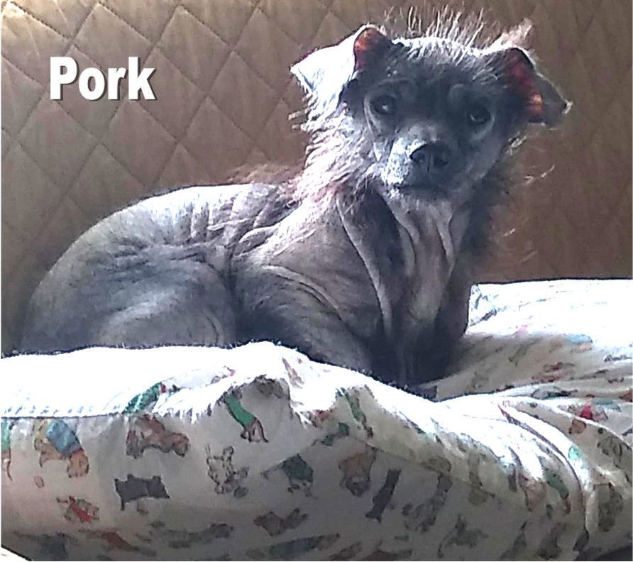 Pork