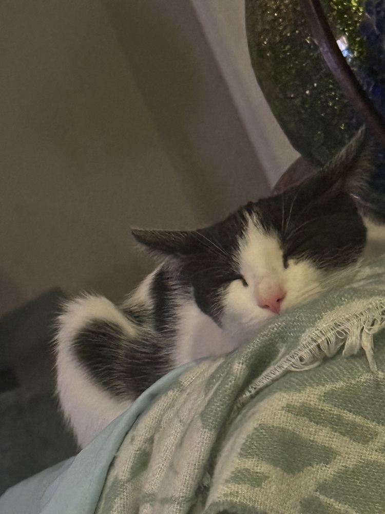 Nellie "Cookie" Olsen