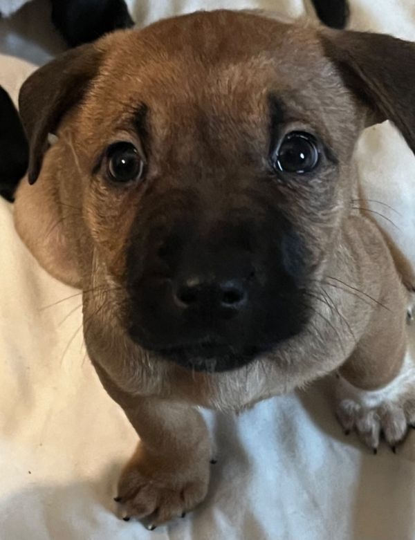 Michael Jaxson thumbnail 2