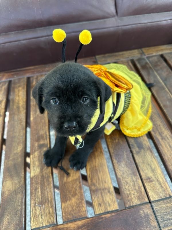 Maddie Mae