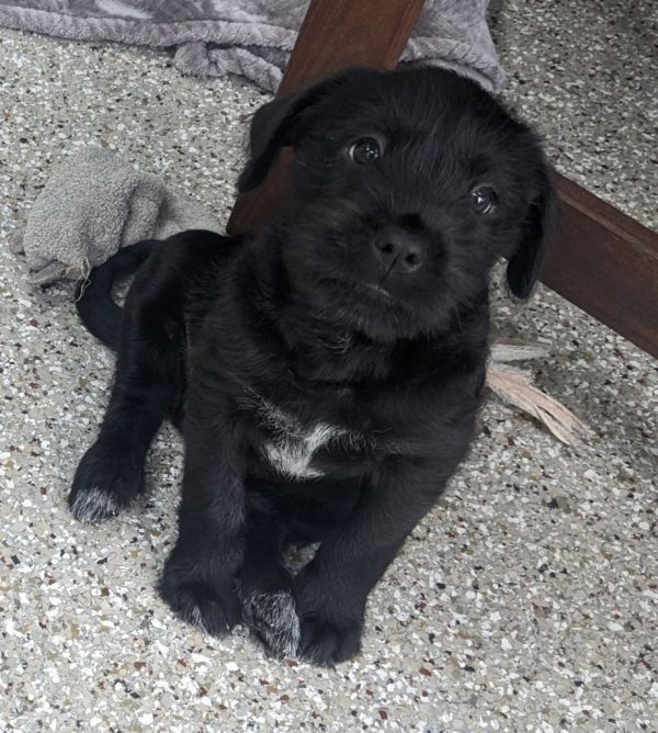 Maddie Mae thumbnail 3