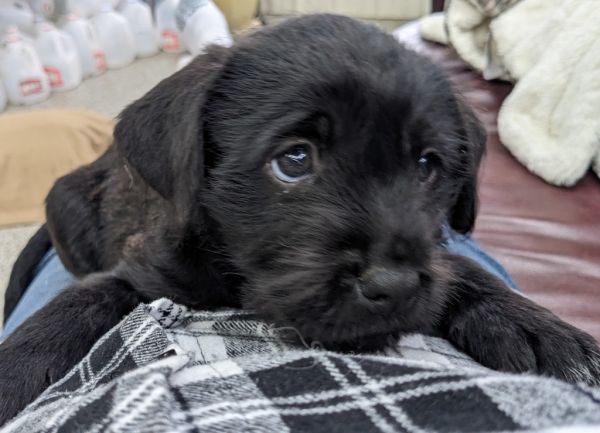 Maddie Mae thumbnail 4