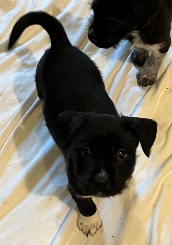 Boots Malone thumbnail 2