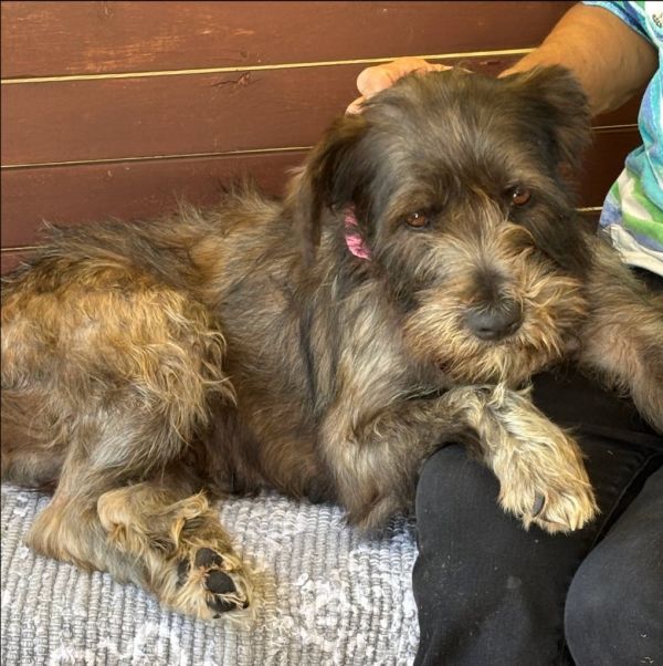 Boots Malone thumbnail 3