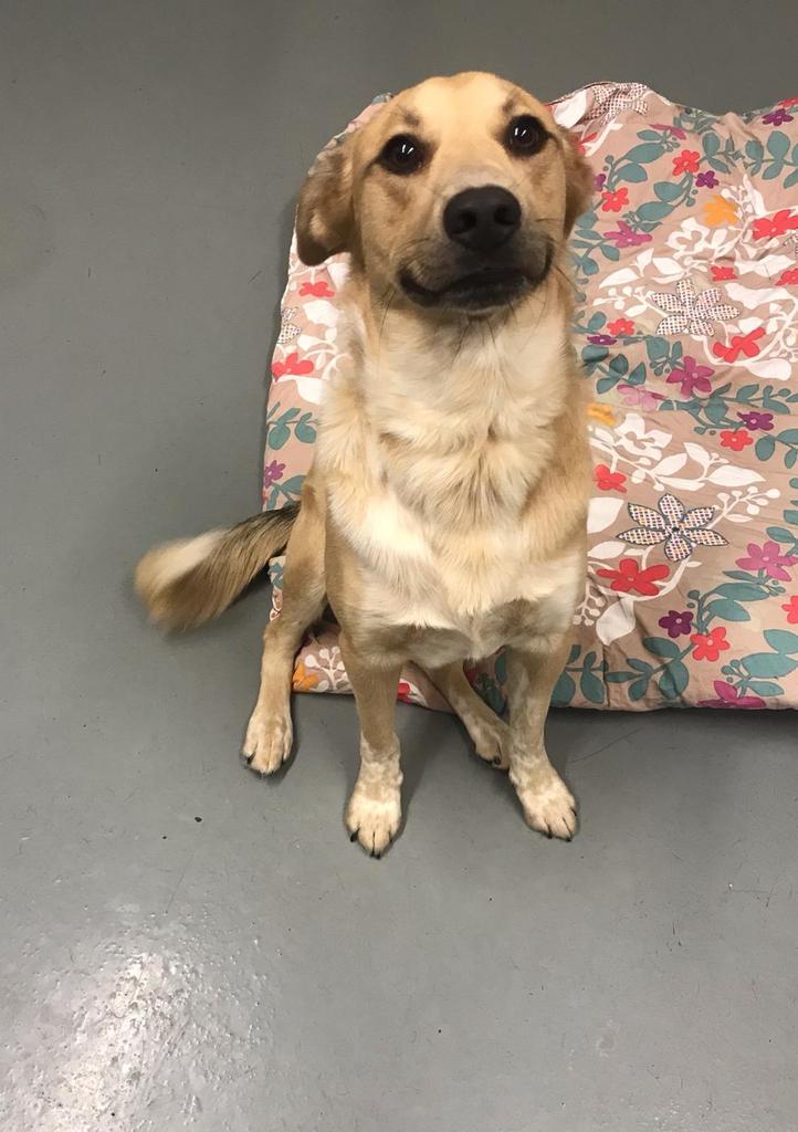 Milo