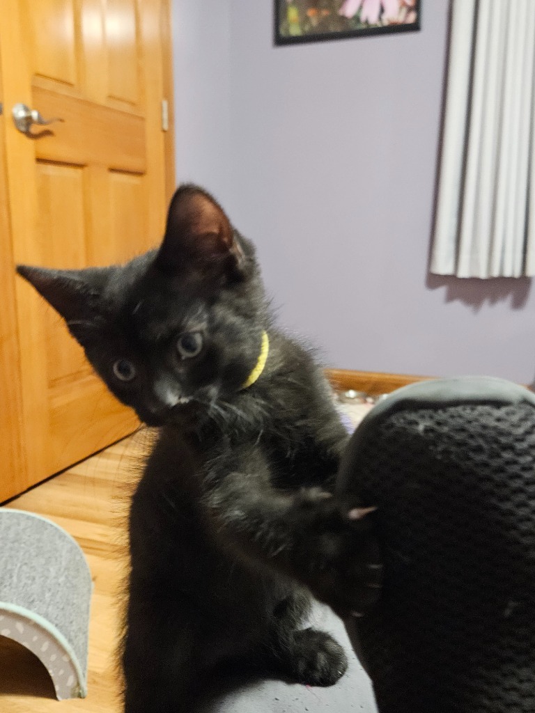 Leonard