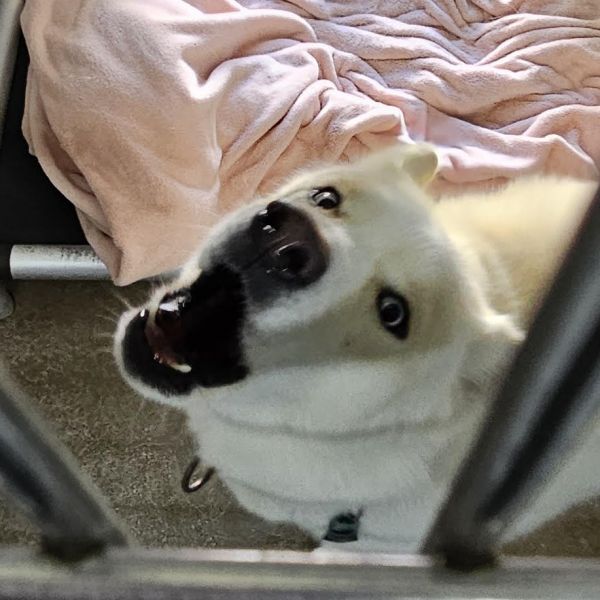 Vito Aka Bleu thumbnail 2