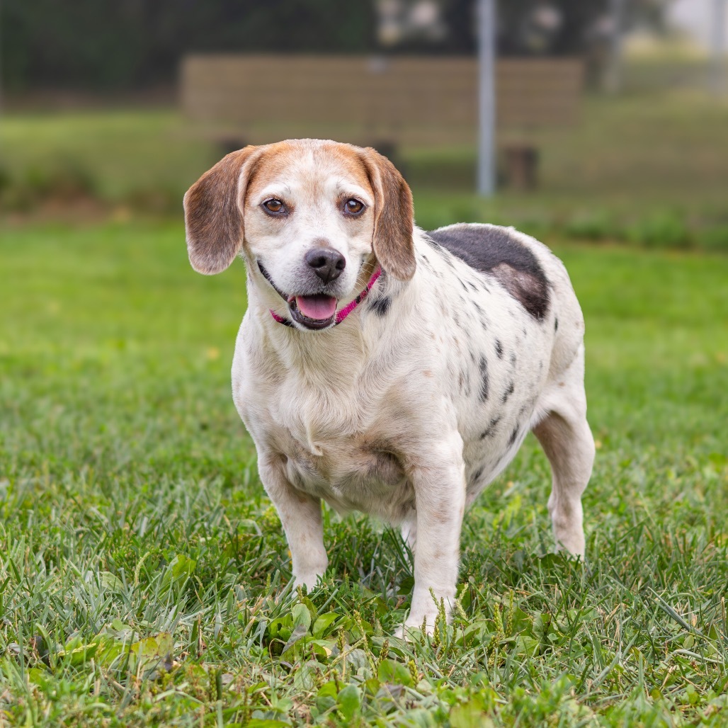 Delihlah (bonded with Ziggy)