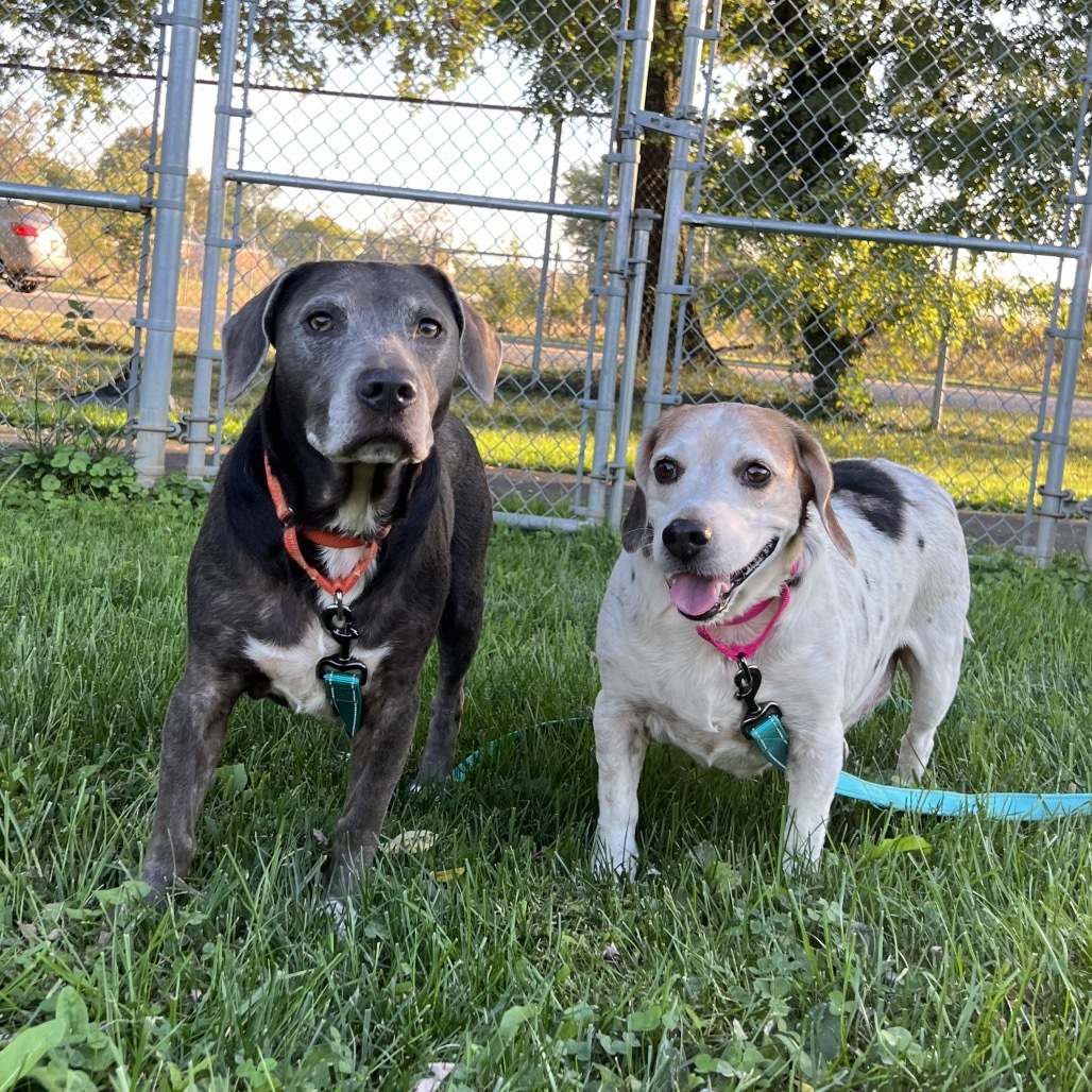 Delihlah (bonded with Ziggy)