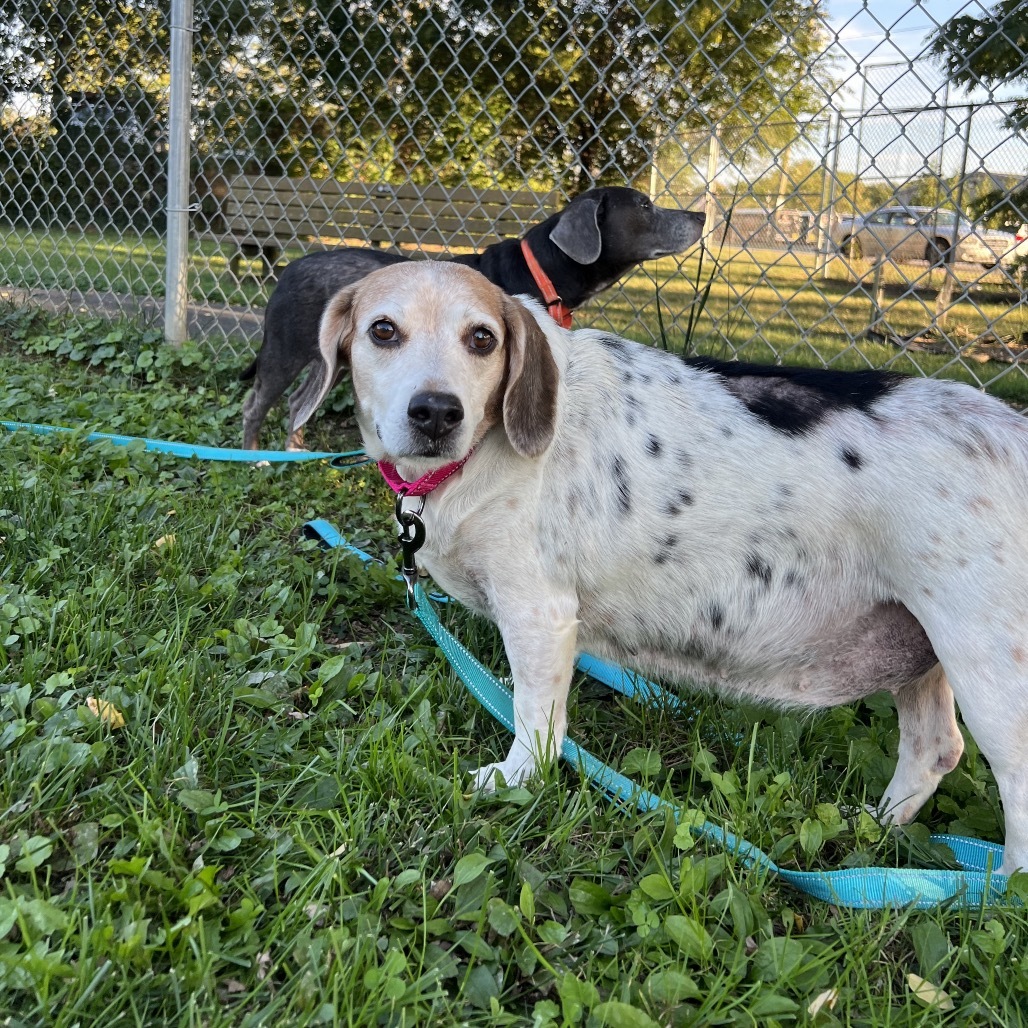 Delihlah (bonded with Ziggy)