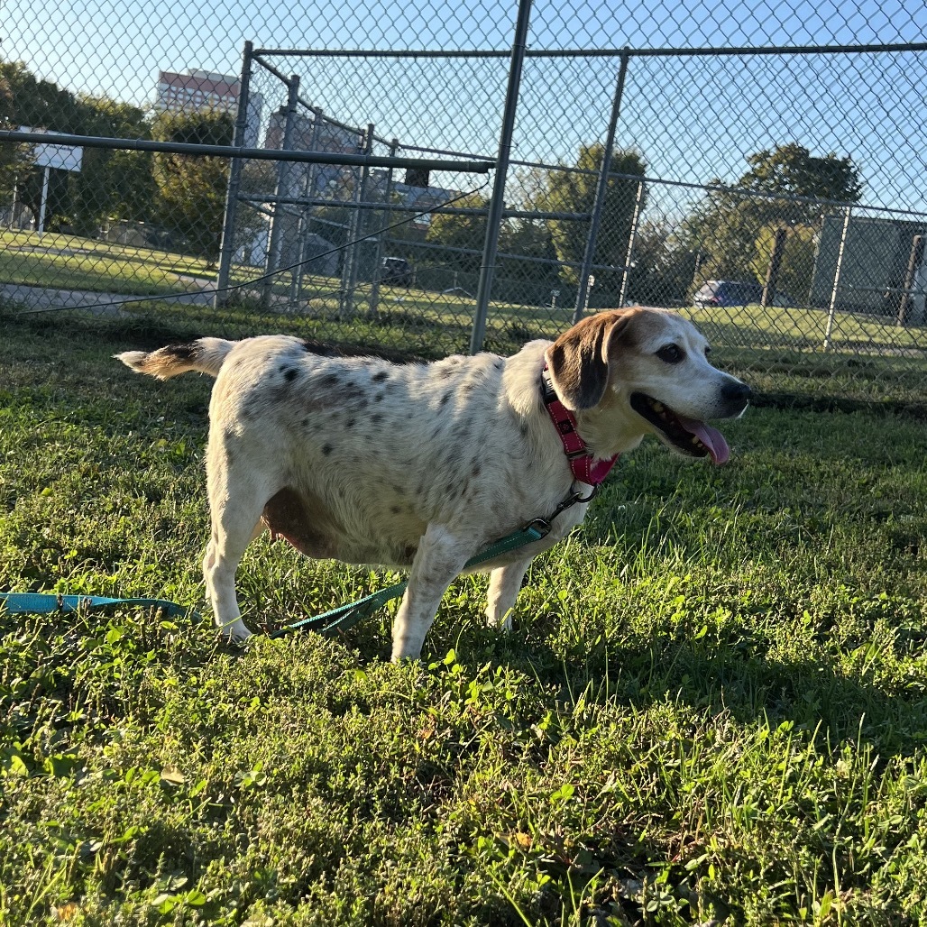 Delihlah (bonded with Ziggy)