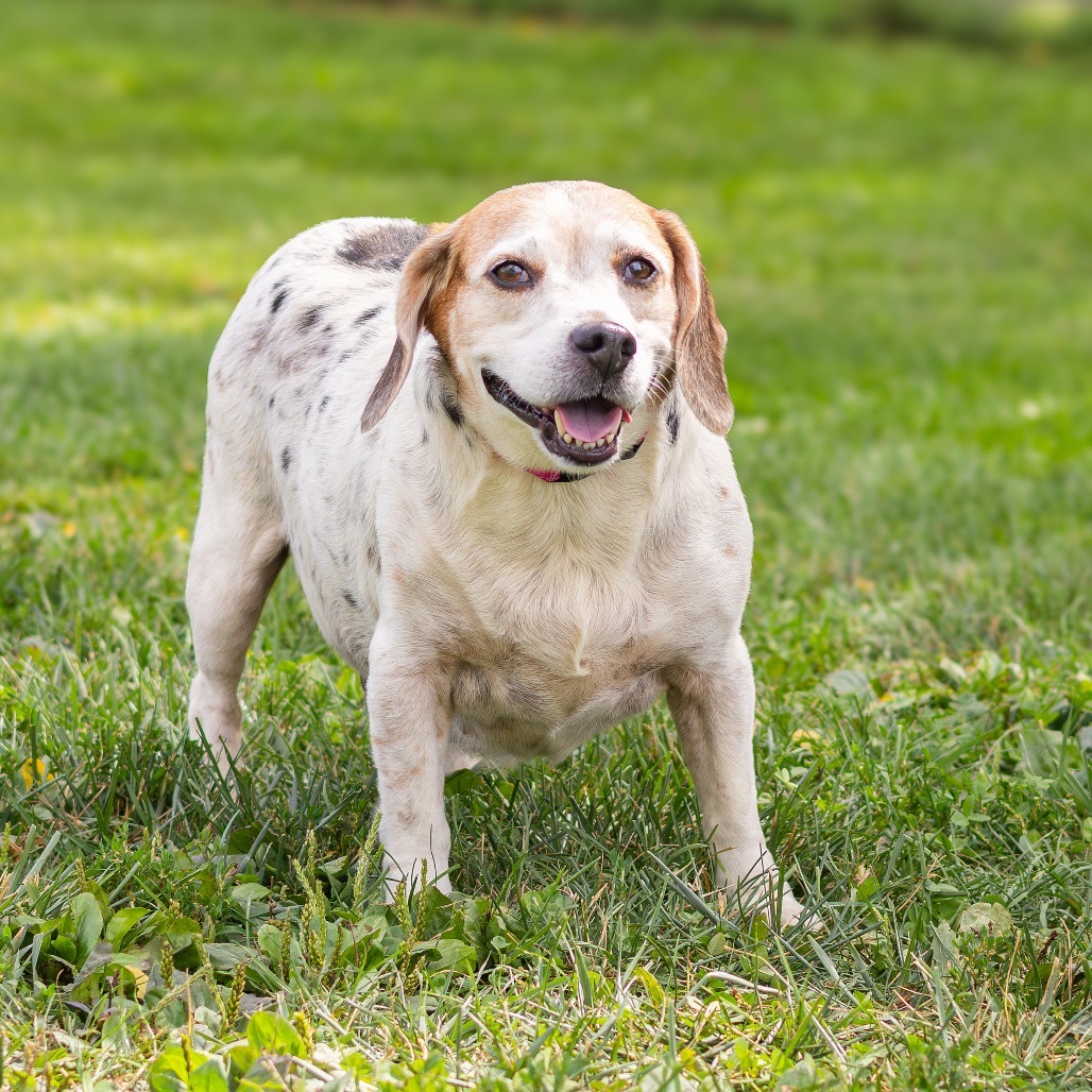 Delihlah (bonded with Ziggy)