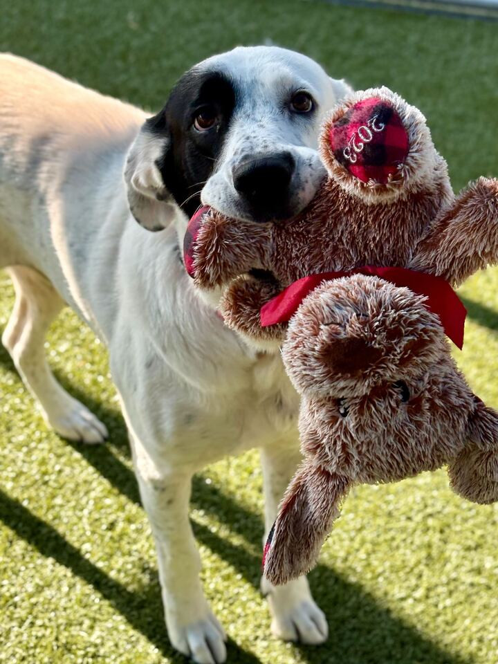 NALA
