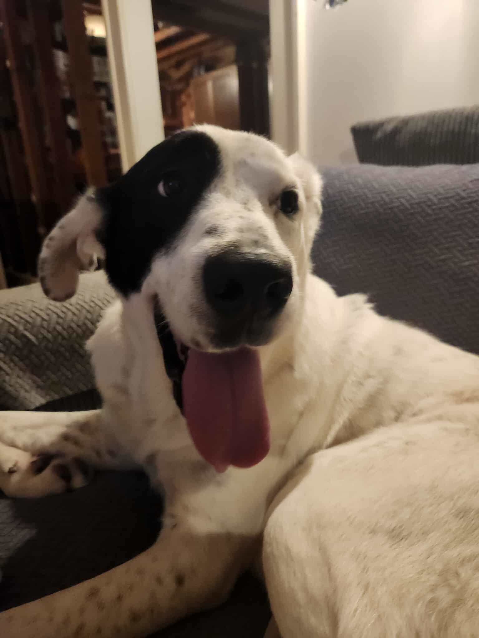 NALA