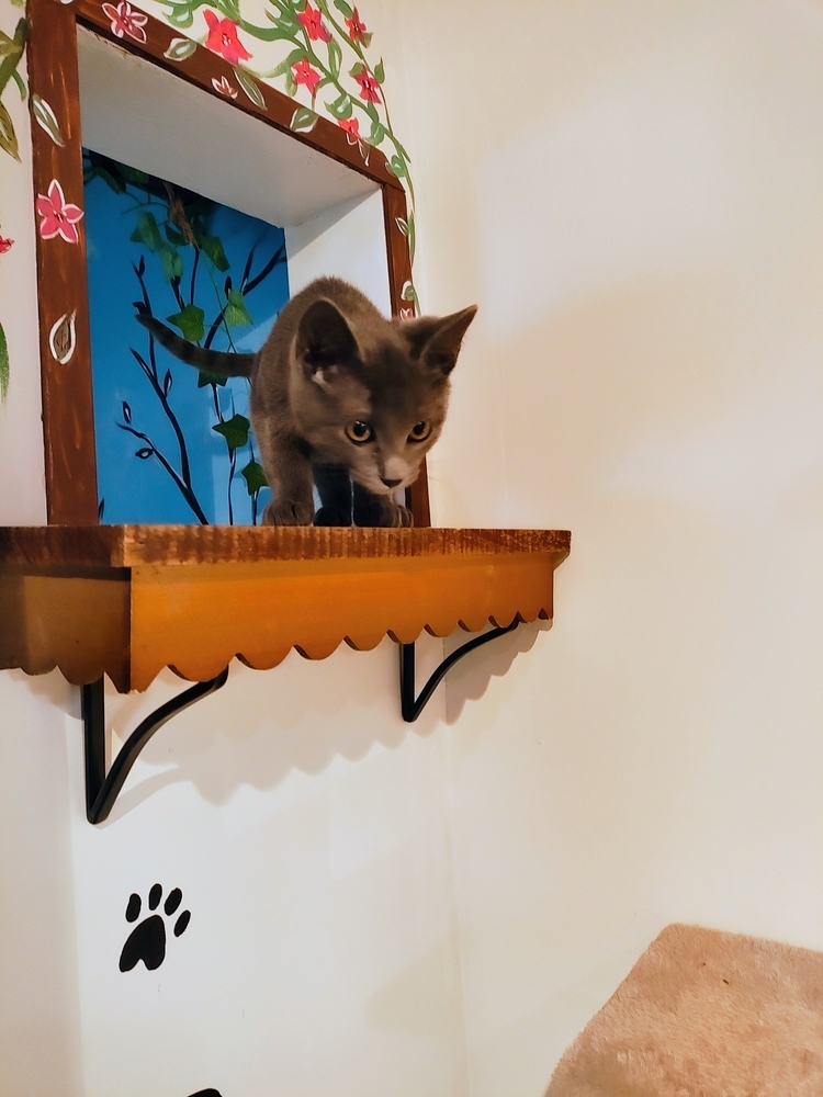 Anna (Bonded to Cleto)