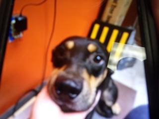 Rocky