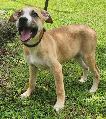 Esther-4030