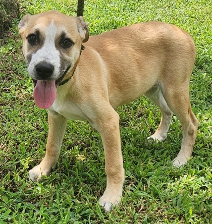 Esther-4030