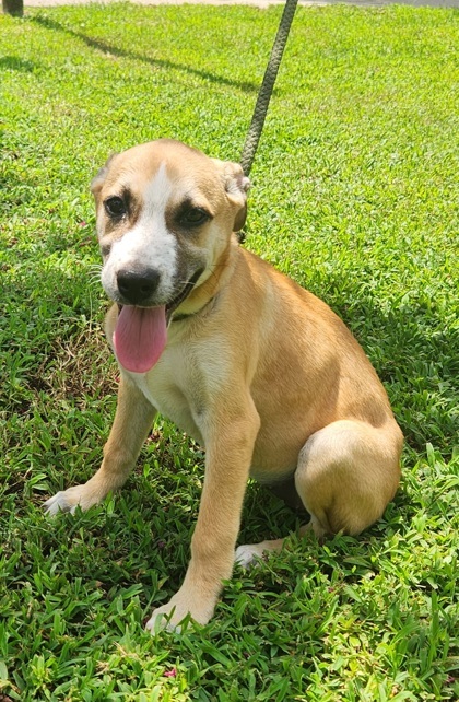 Esther-4030