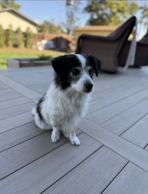 Gary