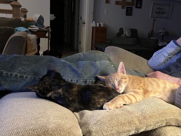 Butterfinger thumbnail 2