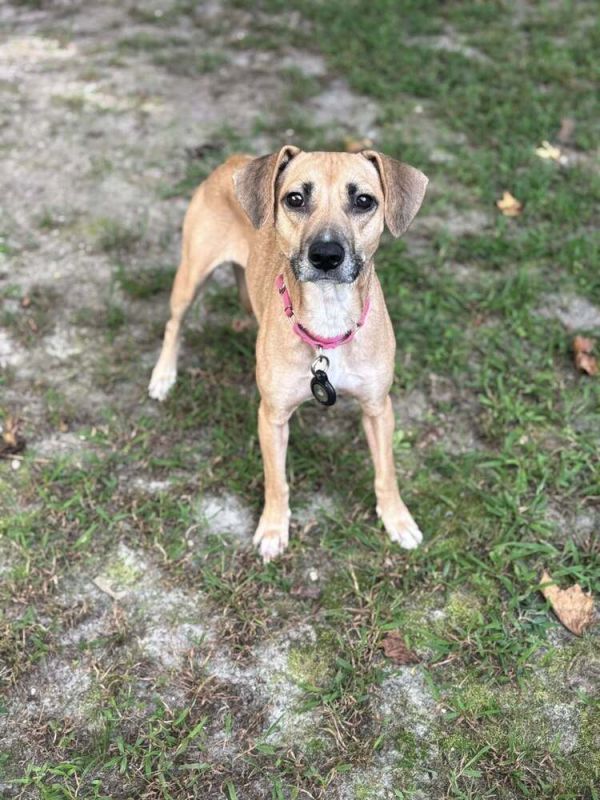 Robin Thebank thumbnail 3