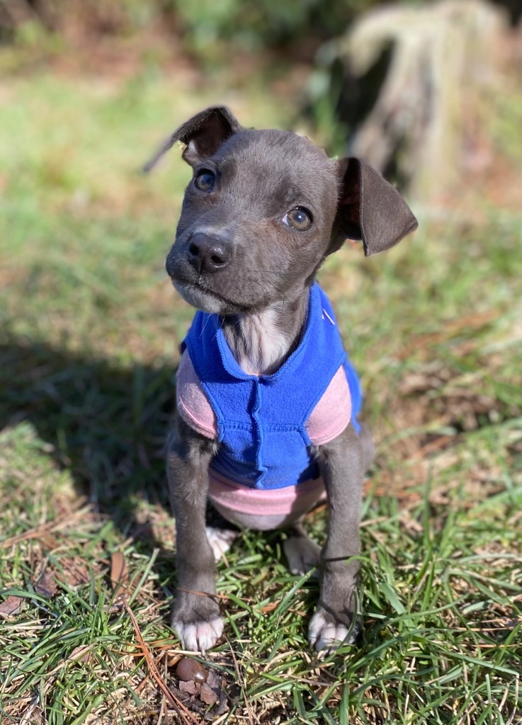 Lisa Left Eye (TLCx2)