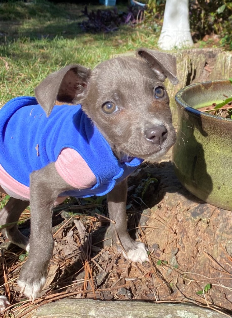 Lisa Left Eye (TLCx2)