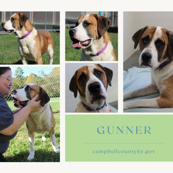 Gunner