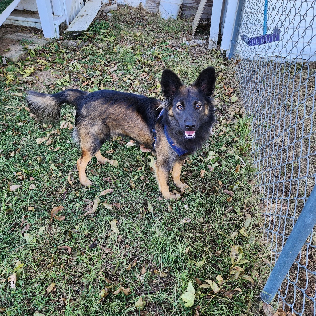Oliver