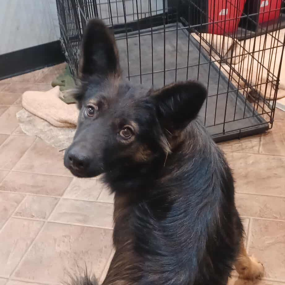 Oliver