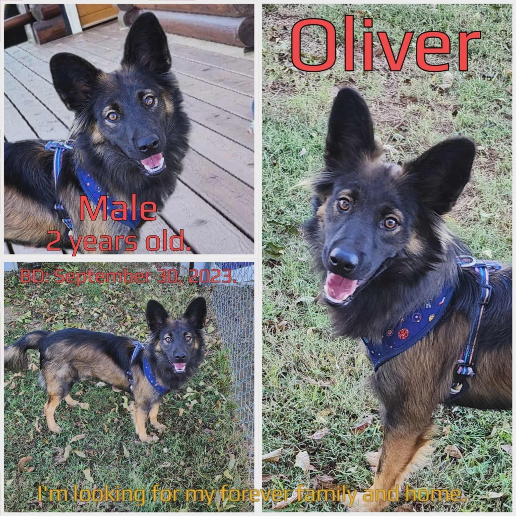 Oliver