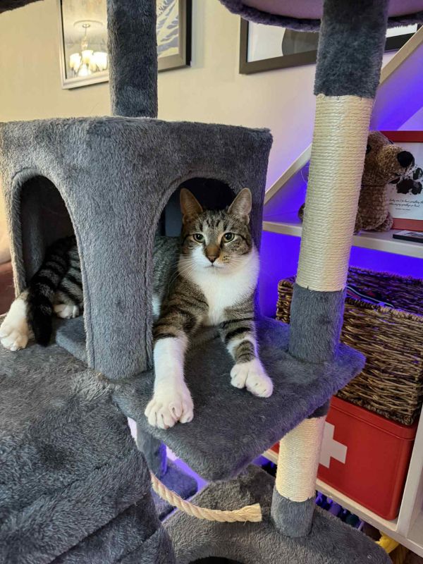 Or Group Litter Johnny