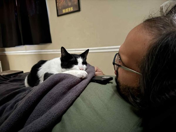 Or Group Litter Harley thumbnail 2